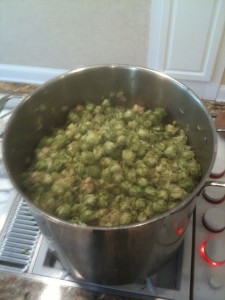 img_0704 Ah...Fresh hops on the boil