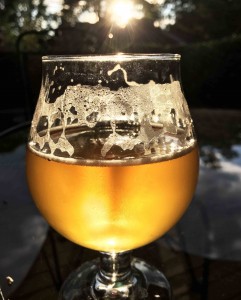 BeerCup Sun