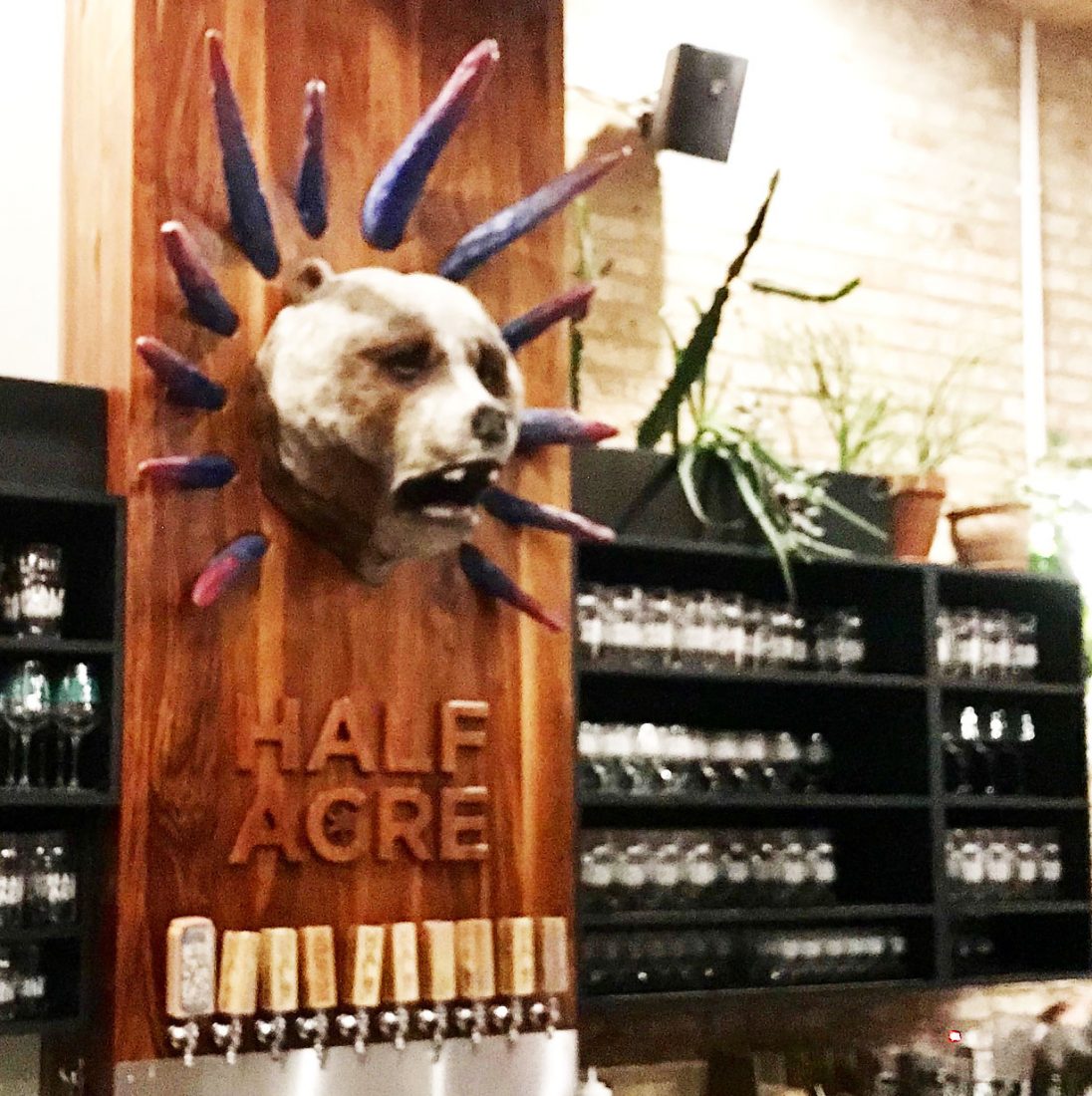 448. Half Acre Brewing, Chicago IL, 2019