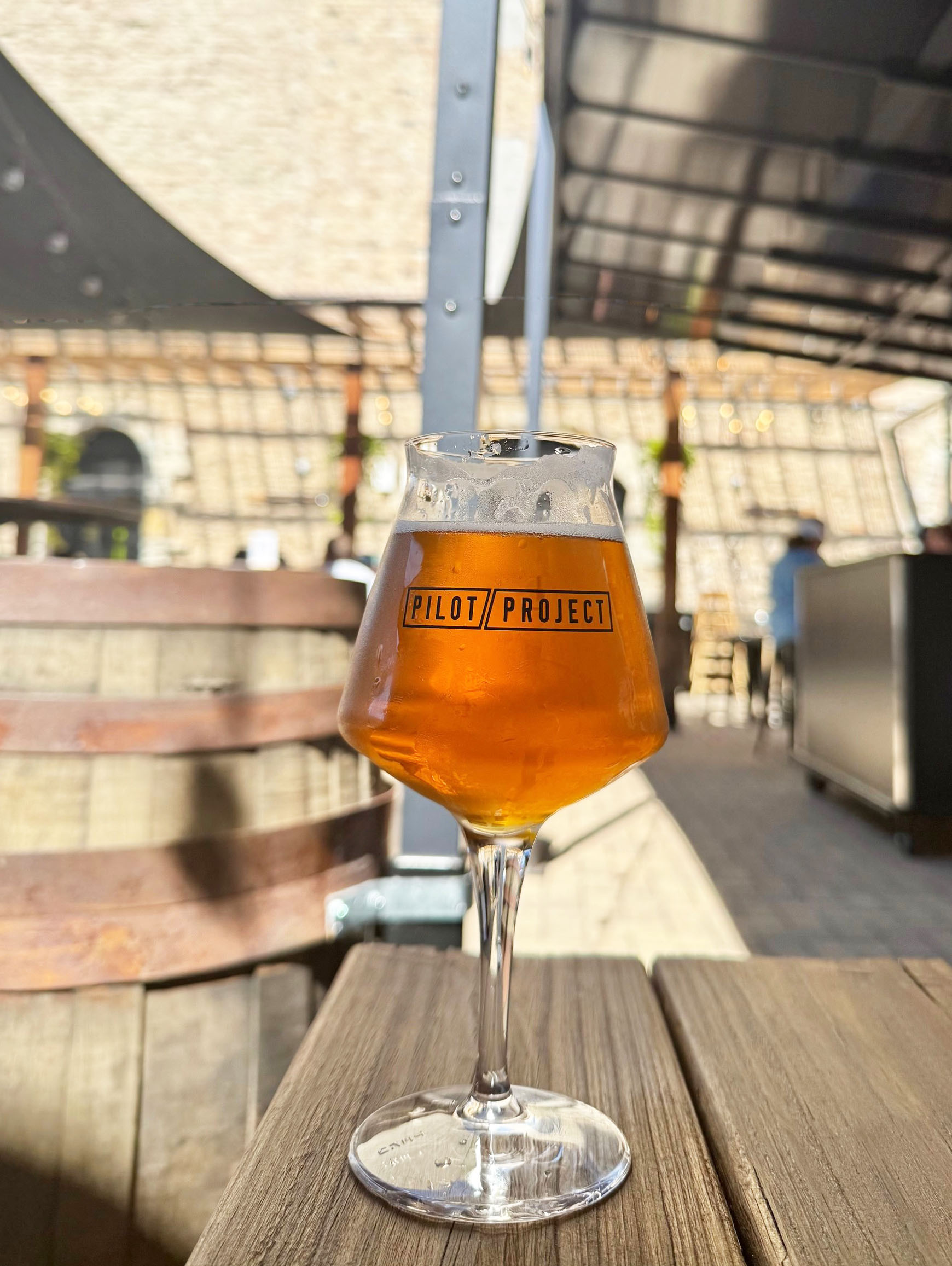 670. Pilot Project Brewing, Chicago Ill, 2025